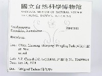 紅菇屬藏品圖，第2張