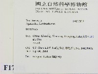 登錄號:F0017113藏品圖，第2張