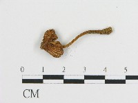 登錄號:F0017113藏品圖，第1張