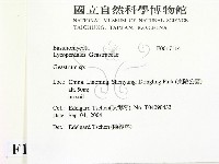 地星屬藏品圖，第2張