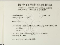 紅菇屬藏品圖，第2張