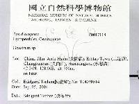 地星屬藏品圖，第2張