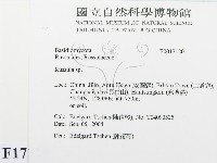 紅菇屬藏品圖，第2張