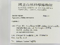 登錄號:F0017121藏品圖，第2張