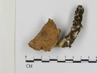 登錄號:F0017121藏品圖，第1張