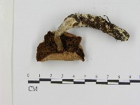 登錄號:F0017121藏品圖，第3張