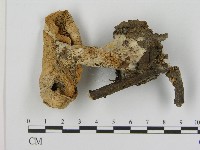 登錄號:F0017122藏品圖，第1張