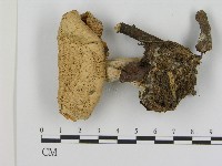 登錄號:F0017122藏品圖，第3張