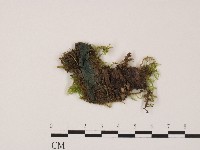 登錄號:F0017124藏品圖，第1張