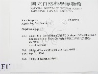 登錄號:F0017125藏品圖，第2張