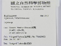 登錄號:F0017127藏品圖，第2張