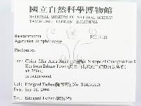 登錄號:F0017128藏品圖，第2張