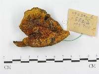 登錄號:F0017128藏品圖，第1張