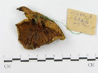登錄號:F0017128藏品圖，第3張
