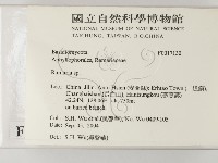 登錄號:F0017130藏品圖，第2張