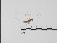 登錄號:F0017130藏品圖，第3張