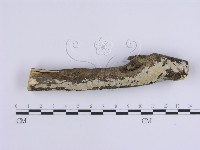 登錄號:F0017131藏品圖，第1張
