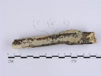 登錄號:F0017131藏品圖，第3張