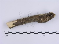 登錄號:F0017131藏品圖，第4張