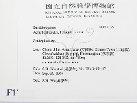 筍殼菌屬藏品圖，第2張