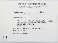 筍殼菌屬藏品圖，第2張