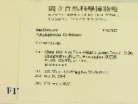 登錄號:F0017137藏品圖，第2張