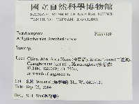 耙菌屬藏品圖，第2張