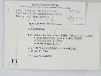 登錄號:F0017140藏品圖，第2張