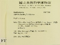 登錄號:F0017141藏品圖，第2張