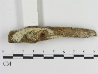 登錄號:F0017141藏品圖，第1張