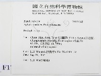筍殼菌屬藏品圖，第2張