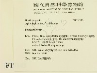登錄號:F0017143藏品圖，第2張