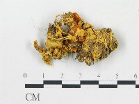 登錄號:F0017145藏品圖，第1張