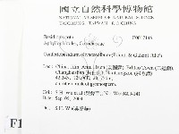 登錄號:F0017146藏品圖，第2張
