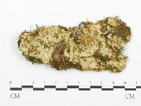 登錄號:F0017146藏品圖，第1張