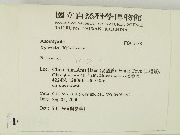 炭角菌屬藏品圖，第2張