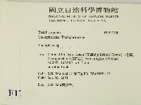 革菌屬藏品圖，第2張
