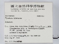 炭角菌屬藏品圖，第2張