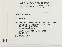 刺皮菌屬藏品圖，第2張