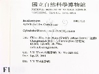 登錄號:F0017153藏品圖，第2張