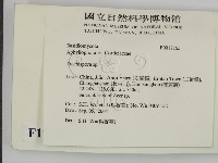 粗糙孢菌屬藏品圖，第2張