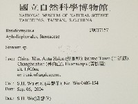 韌革菌屬藏品圖，第2張