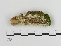 登錄號:F0017159藏品圖，第1張
