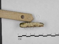 登錄號:F0017159藏品圖，第3張
