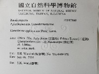 登錄號:F0017160藏品圖，第2張