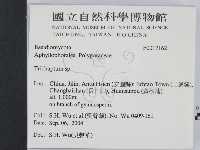 附毛菌屬藏品圖，第2張