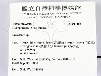 地星屬藏品圖，第2張