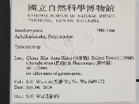登錄號:F0017166藏品圖，第2張