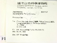 花耳屬藏品圖，第2張