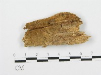 登錄號:F0017168藏品圖，第1張